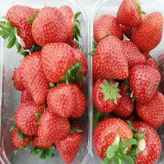 Земляника (Клубника) Лималексия