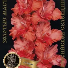 Гладиолус Бизон