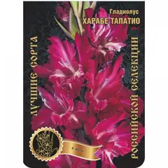 Гладиолус Харабе Тапатио