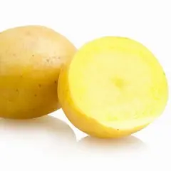 Картофель семенной Маделине (1кг/уп - репродукция элита, супер-ранний)