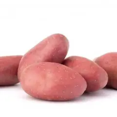 Картофель семенной Ред Соня (1кг/уп - репродукция супер-супер элита, супер-ранний)