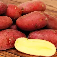 Картофель семенной Палац (1 кг/уп - репродукция супер-элита, суперранний)