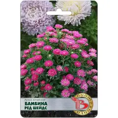 Семена Астра китайская Бамбина Ред Шейдс (а/ф Биотехника)