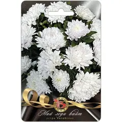 Семена Астра китайская Май Леди Вайт (а/ф Биотехника)