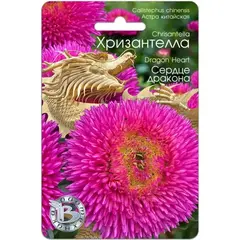 Семена Астра китайская Хризантелла Сердце дракона (а/ф Биотехника)