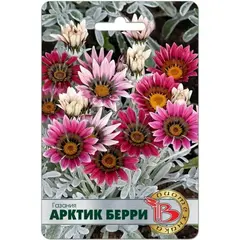 Семена Газания Арктик Берри (а/ф Биотехника)