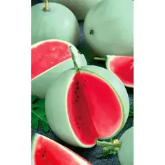 Семена Арбуз Память Холодова (а/ф Уральский Дачник)