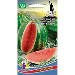 Семена Арбуз Успех (а/ф Уральский Дачник)