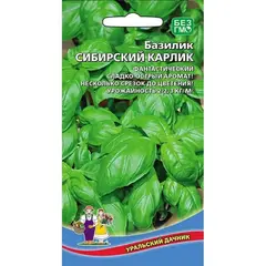 Семена Базилик Сибирский карлик (а/ф Уральский Дачник)