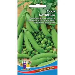 Семена Горох Калипсо (а/ф Уральский Дачник)