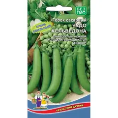 Семена Горох Чудо Кельведона - сахарный (а/ф Уральский Дачник)