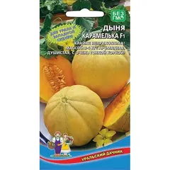 Семена Дыня Карамелька F1 (а/ф Уральский Дачник)