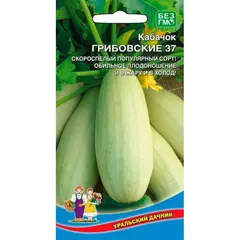 Семена Кабачок Грибовские 37 (а/ф Уральский Дачник)