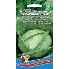 Семена Капуста белокочанная Сахарный гигант (а/ф Уральский Дачник)