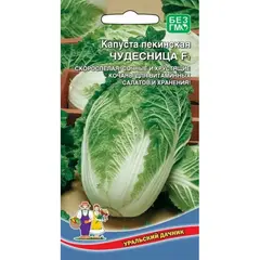 Семена Капуста пекинская Чудесница F1 (а/ф Уральский Дачник)