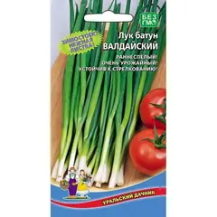 Семена Лук батун Валдай/Валдайский (а/ф Уральский Дачник)