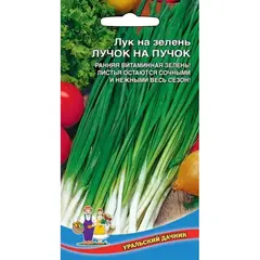 Семена Лук на зелень Лучок на пучок (а/ф Уральский Дачник)