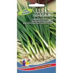 Семена Лук на зелень Перфоманс (а/ф Уральский Дачник)