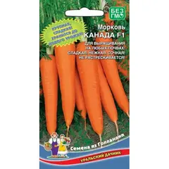 Семена Морковь Канада F1 (а/ф Уральский Дачник)