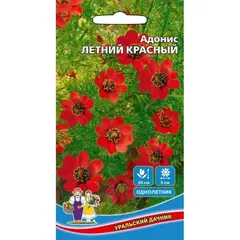 Семена Адонис Летний Красный (а/ф Уральский Дачник)