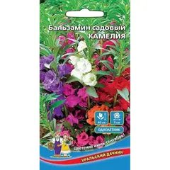 Семена Бальзамин Камелия (а/ф Уральский Дачник)