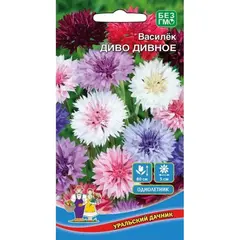 Семена Василек Диво дивное (а/ф Уральский Дачник)