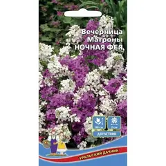 Семена Вечерница матроны Ночная фея (а/ф Уральский Дачник)