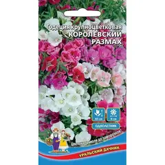 Семена Годеция Королевский размах - крупноцветковая (а/ф Уральский Дачник)