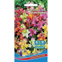 Семена Львиный Зев Том Тамб (а/ф Уральский Дачник)