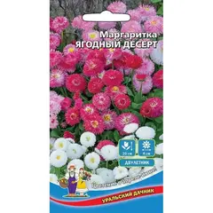 Семена Маргаритка Ягодный десерт (а/ф Уральский Дачник)