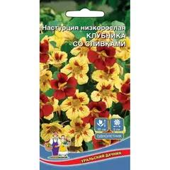 Семена Настурция Клубника со сливками - низкорослая (а/ф Уральский Дачник)