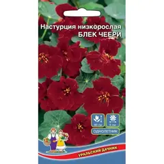 Семена Настурция низкорослая Блек черри (а/ф Уральский Дачник)