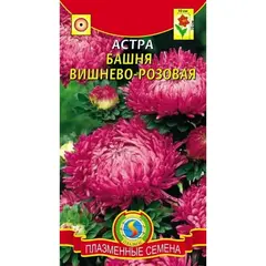 Семена Астра Башня Вишнево-розовая (а/ф Плазменные семена)