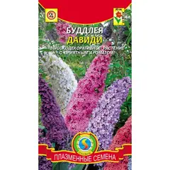 Семена Буддлея Давиди (а/ф Плазменные семена)
