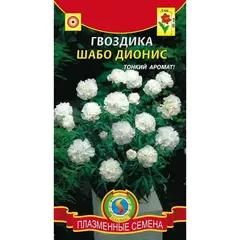 Семена Гвоздика Шабо Дионис (а/ф Плазменные семена)
