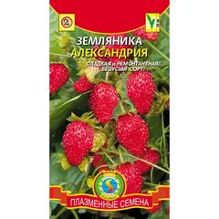Семена Земляника Александрия (а/ф Плазменные семена)
