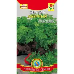 Семена Кервель Ажурный (а/ф Плазменные семена)