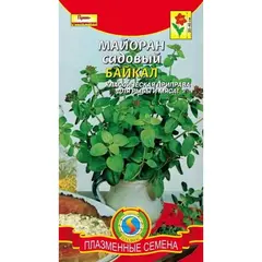 Семена Майоран садовый Байкал (а/ф Плазменные семена)