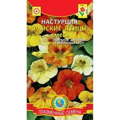 Семенаесь (а/ф Плазменные семена)