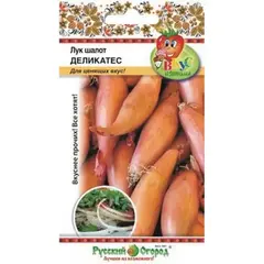 Семена Лук шалот Деликатес (0,2г. а/ф Русский Огород)