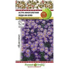 Семена Астра многолетняя Леди Ин Блу (а/ф Русский Огород)