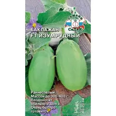 Семена Баклажан Изумрудный F1 (а/ф Седек)