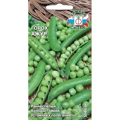 Семена Горох Ажур (а/ф Седек)