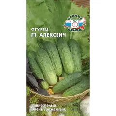 Семена Огурец Алексеич F1 (а/ф Седек)