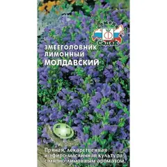 Семена Змееголовник лимонный Молдавский (а/ф Седек)