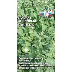 Семена Лофант Снежок (а/ф Седек)
