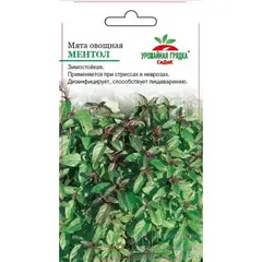 Семена Мята Ментол (а/ф Седек)