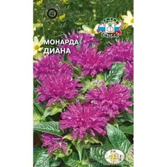 Семена Монарда Диана (а/ф Седек)