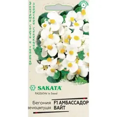 Семена Бегония Амбассадор Вайт F1 вечноцв. 5 шт. пробирка (а/ф Гавриш)