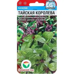 Семена Базилик Тайская королева (а/ф Сибирский Сад)
